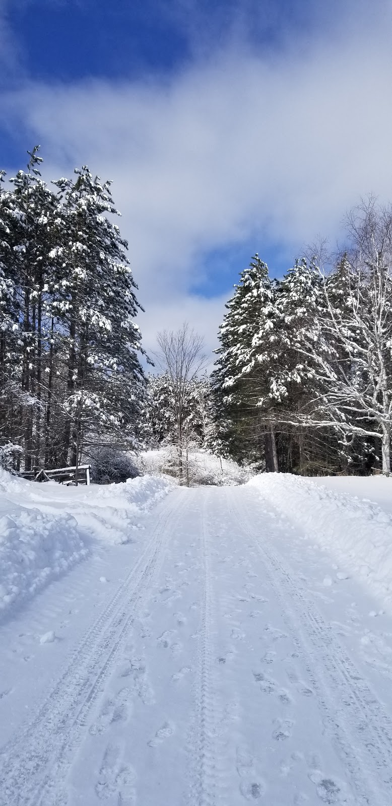 Dunwurkn Farms Maple Camp | Hoddinott Ln, Balderson, ON K0G 1A0, Canada | Phone: (613) 836-1291