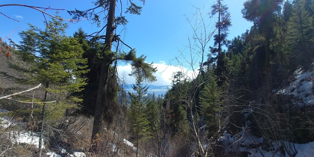 Carrot Mountain Trailhead | Central Okanagan G, BC V4T 2V2, Canada