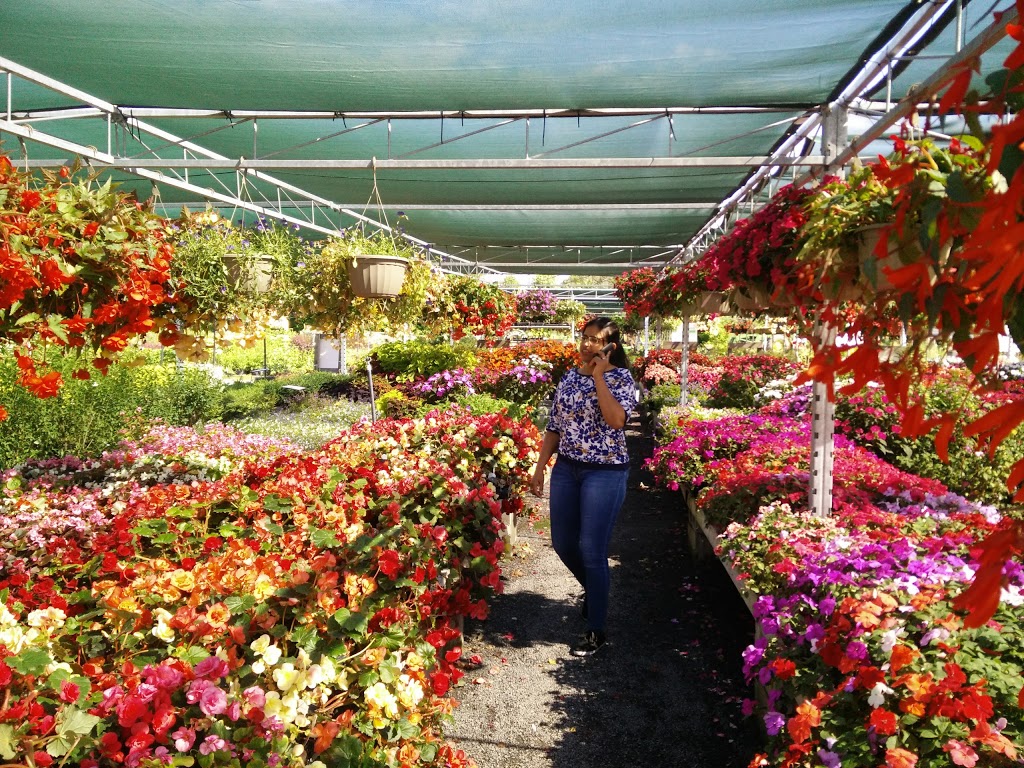 Richmond Nursery Strawberry Farm | 5740 Old Richmond Rd, Richmond, ON K0A 2Z0, Canada | Phone: (613) 838-2282