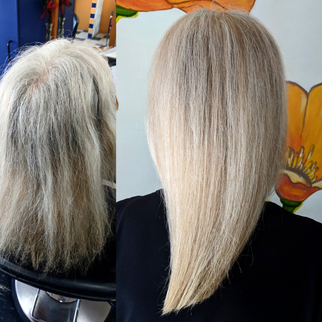 Silver Scissors | 447 Ferry Rd, Winnipeg, MB R3J 1W3, Canada | Phone: (204) 888-9283