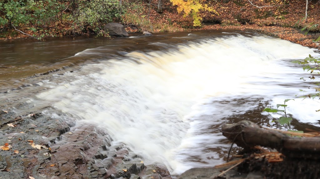 Park of the Gentilly river | 1000 Route des Flamants, Sainte-Marie-de-Blandford, QC G0X 2W0, Canada | Phone: (819) 298-2455