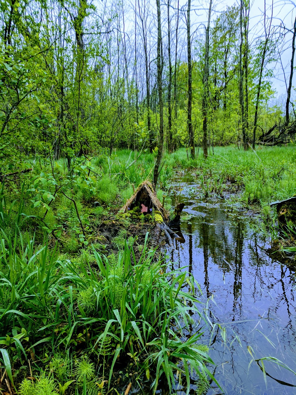 The Log Farm | 670 Cedarview Rd, Nepean, ON K2R 1E5, Canada | Phone: (613) 292-1219