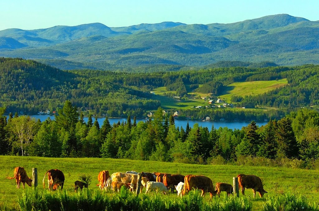 Municipalité de Saint-Aimé-des-Lacs | 119 Rue Principale, Saint-Aimé-des-Lacs, QC G0T 1S0, Canada | Phone: (418) 439-2229