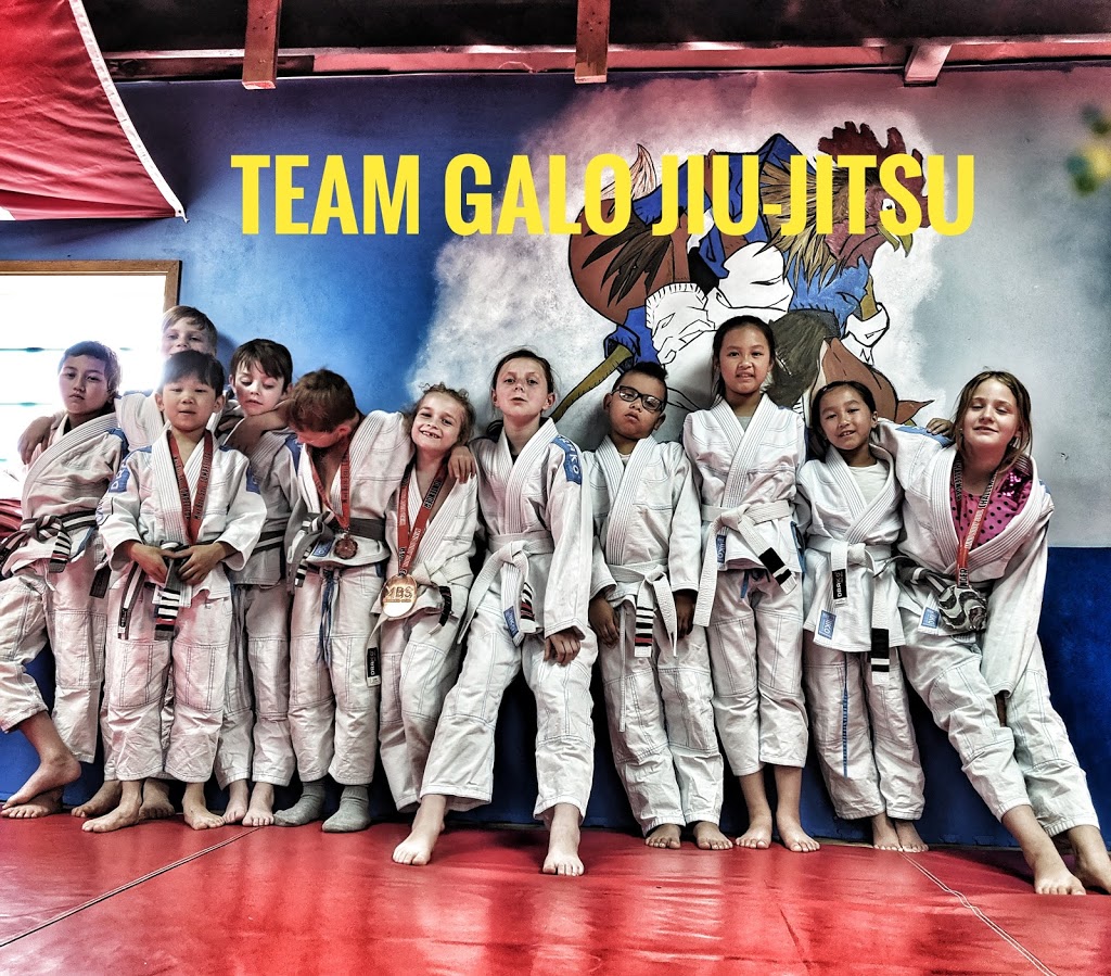 Team Galo Jiu-Jitsu | 10001 168 St NW, Edmonton, AB T5P 3W9, Canada | Phone: (780) 484-6524