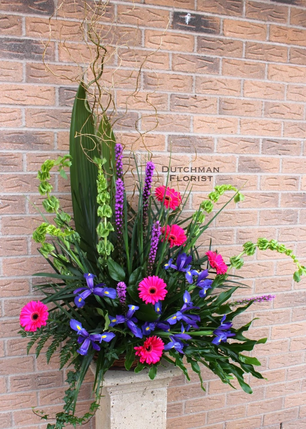 Dutchman Florist | 218 Barton St, Stoney Creek, ON L8E 2K2, Canada | Phone: (905) 662-3341