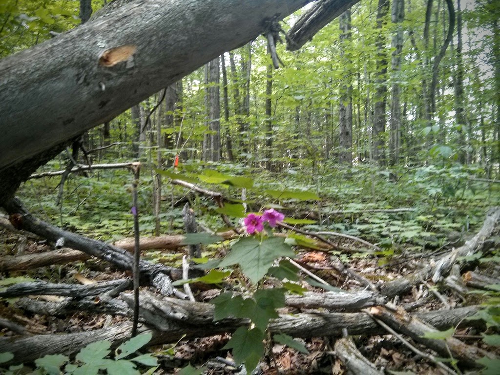 Monk Environmental Park | South March, Ottawa, ON K2K 1X7, Canada