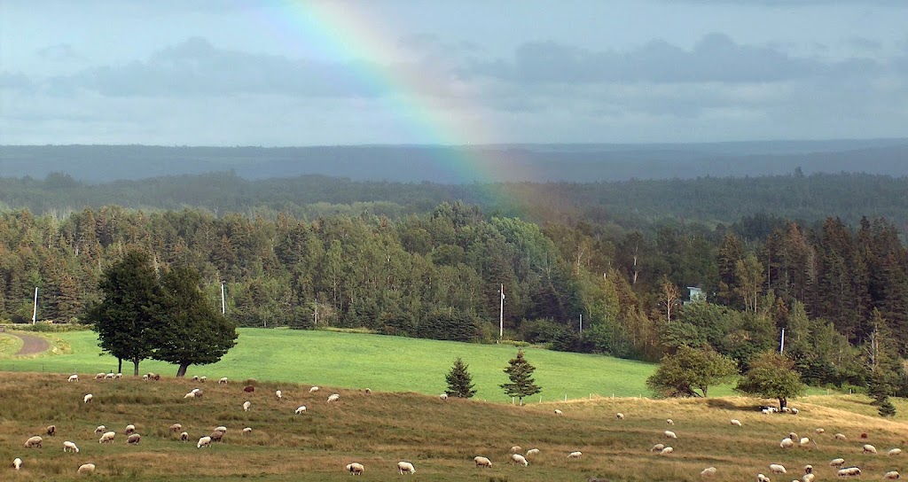 Brook Ridge Farm | 1997 Nova Scotia Hwy 4, Antigonish, NS B2G 2K9, Canada | Phone: (902) 318-3989