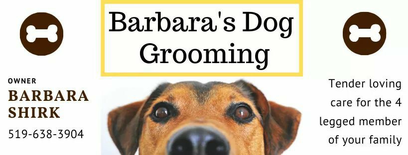 Barbaras Dog Grooming | 8032 Wellington Rd 7, Moorefield, ON N0G 2K0, Canada | Phone: (519) 638-3094