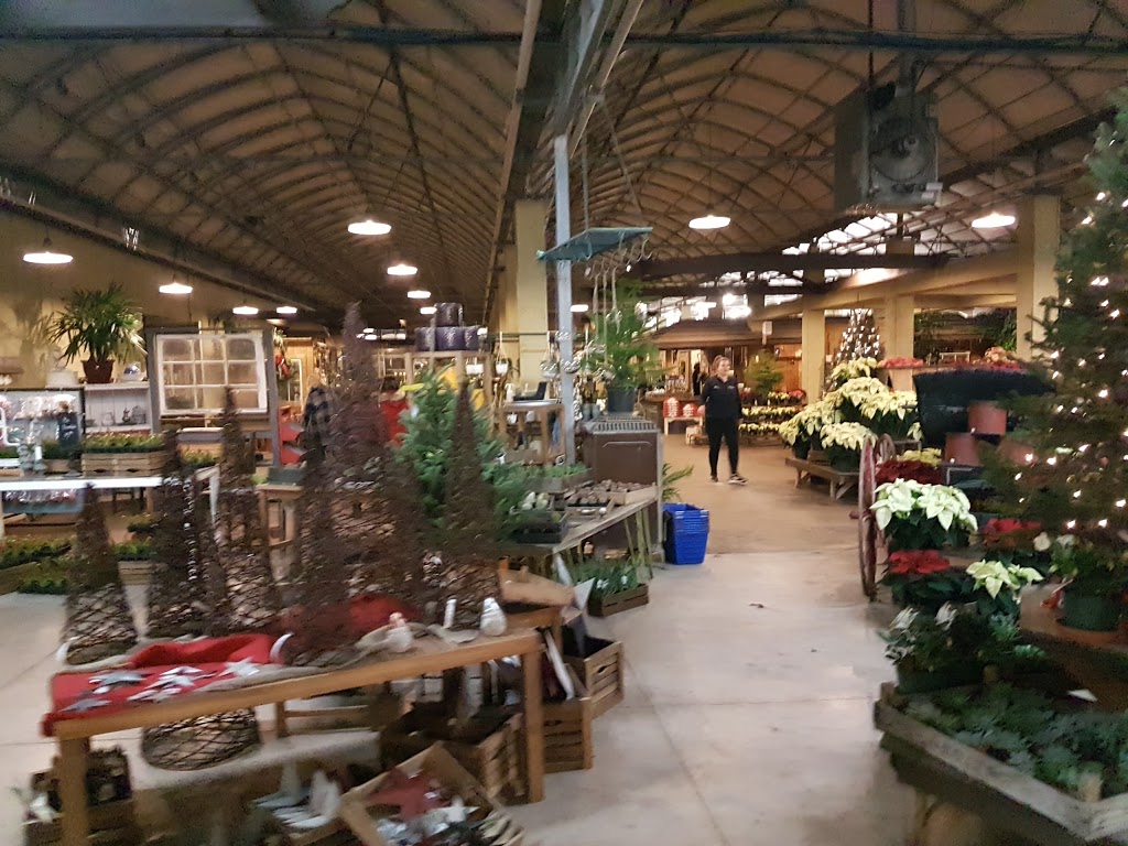 The Watering Can Flower Market | 3711 King St, Vineland, ON L0R 2C0, Canada | Phone: (905) 562-0088