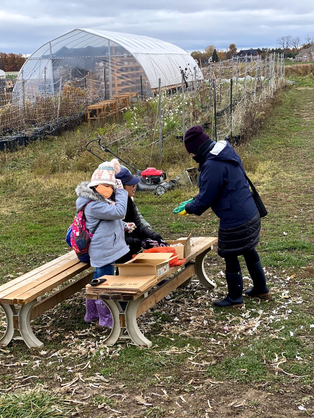 Food 4 Life Market Garden | 215 Victoria Ave, Fenwick, ON L0S 1C0, Canada | Phone: (833) 363-4543