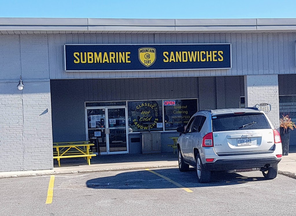 Mountain Subs Inc | 20 Balsam St Unit #13, Collingwood, ON L9Y 4H7, Canada | Phone: (705) 293-7333