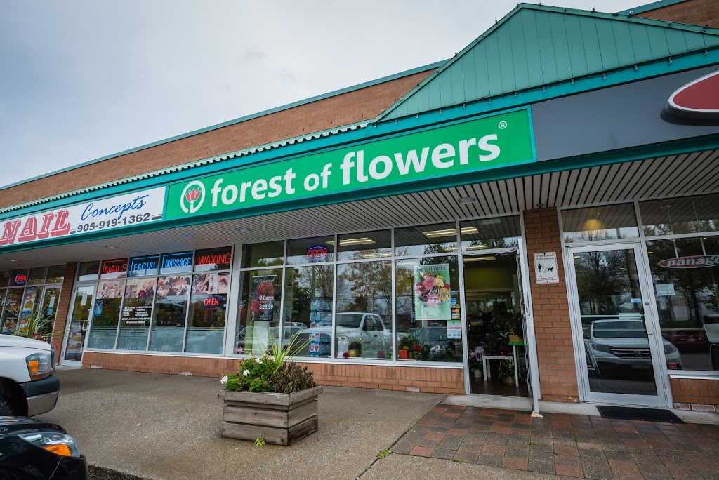 Forest of Flowers | 2400 Dundas St W #3, Mississauga, ON L5K 2R8, Canada | Phone: (905) 916-2424