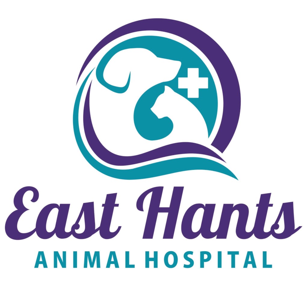 East Hants Animal Hospital | 202 NS-214, Elmsdale, NS B2S 1J2, Canada | Phone: (902) 883-8787