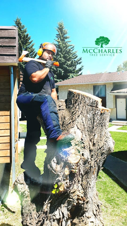 McCharles Tree Service | 3722 57 Ave #22046, Red Deer, AB T4N 6X4, Canada | Phone: (587) 377-5967