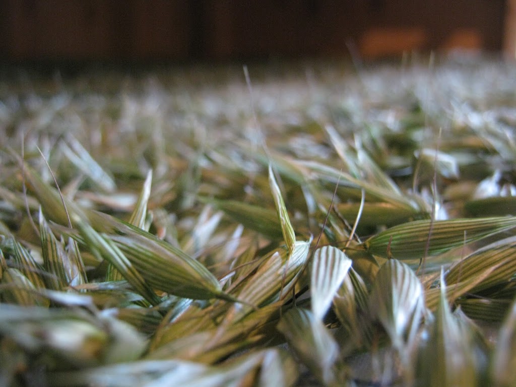 Ferme Inflorescence | 9160 Route des Ormes, Bécancour, QC G9H 3R5, Canada | Phone: (438) 476-3252