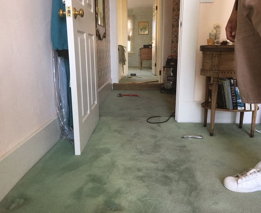 Six Carpet Cleaning of Oakville | 2348 Lakeshore Rd W, Oakville, ON L6L 1H5, Canada | Phone: (289) 206-6054