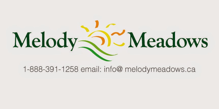 Melody Meadows Mobile Home Park | 38138 Range Rd 283, Alberta T4S 2B4, Canada | Phone: (888) 391-1258