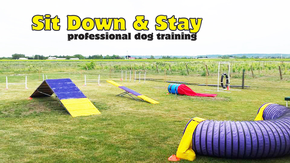 Sit Down and Stay Dog Training School | 208 Doans Ridge Rd, Welland, ON L3B 5N4, Canada