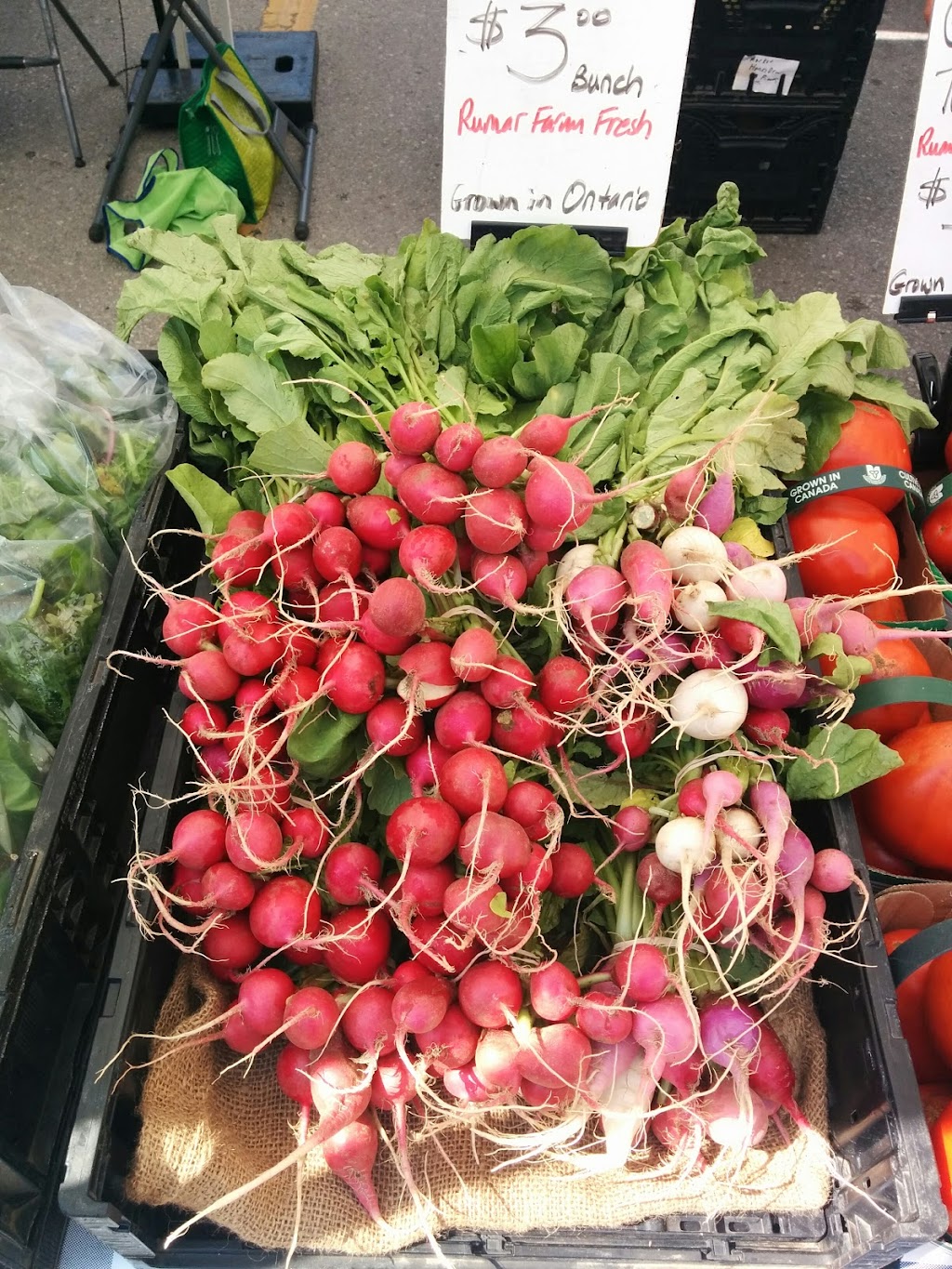 Grimsby Farmers Market | 162 Livingston Ave, Grimsby, ON L3M 5P7, Canada | Phone: (905) 945-7963