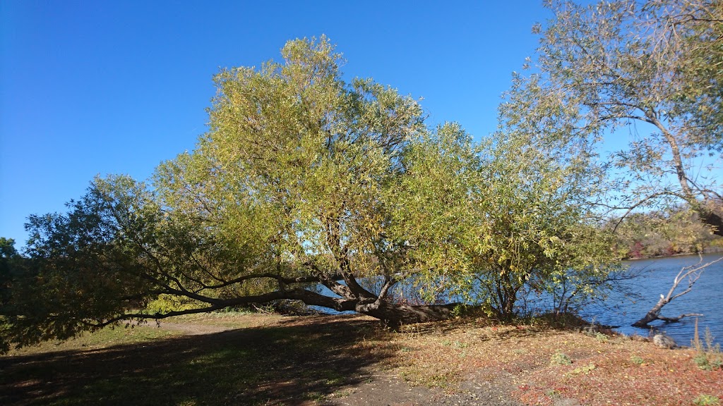 Lakeshore Park Kwakiutl Totem Pole | Regina, SK S4S, Canada | Phone: (306) 522-3661