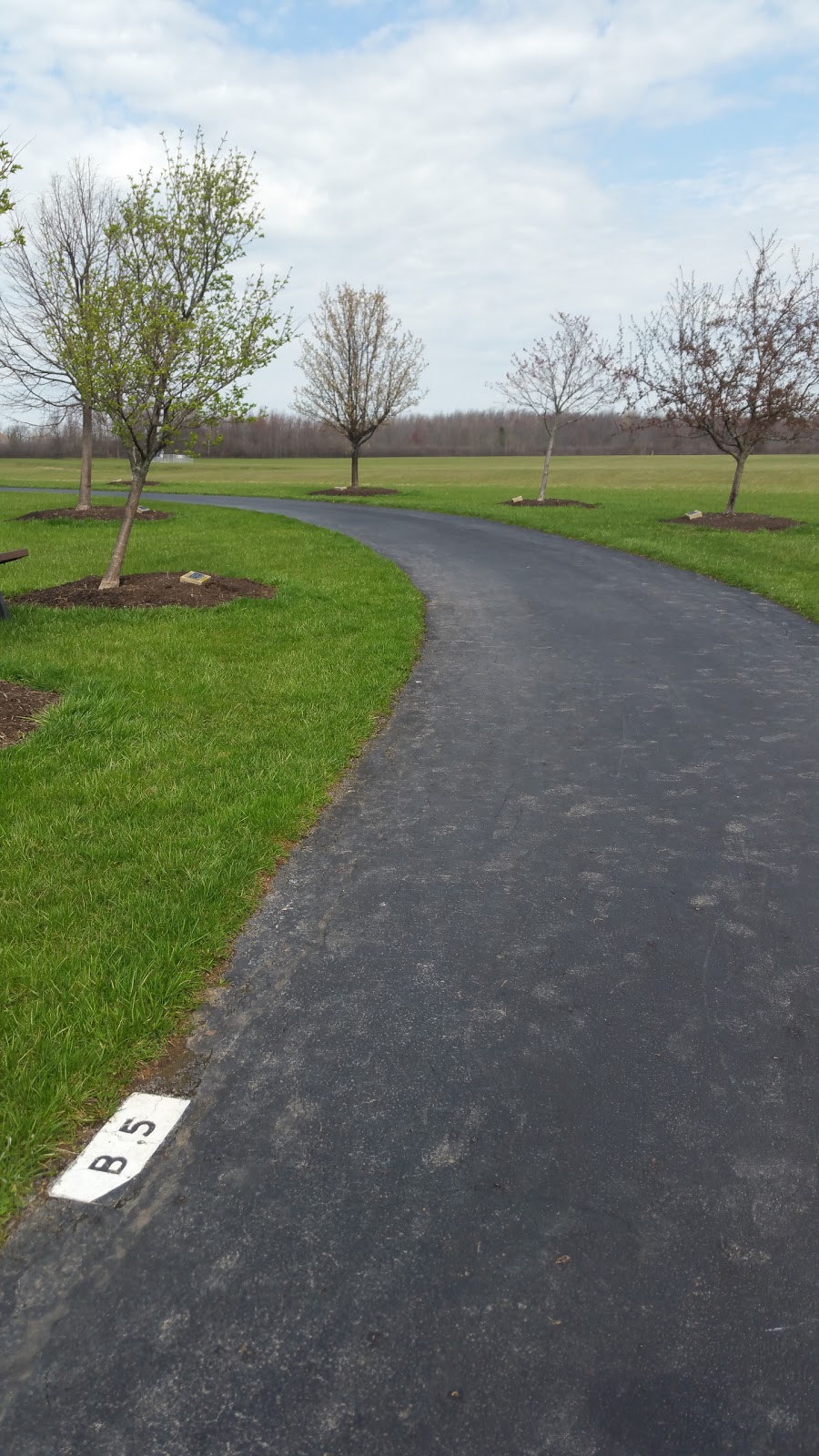 UB Bike Path Parking - N Forest and Maple | Buffalo, NY 14221, USA