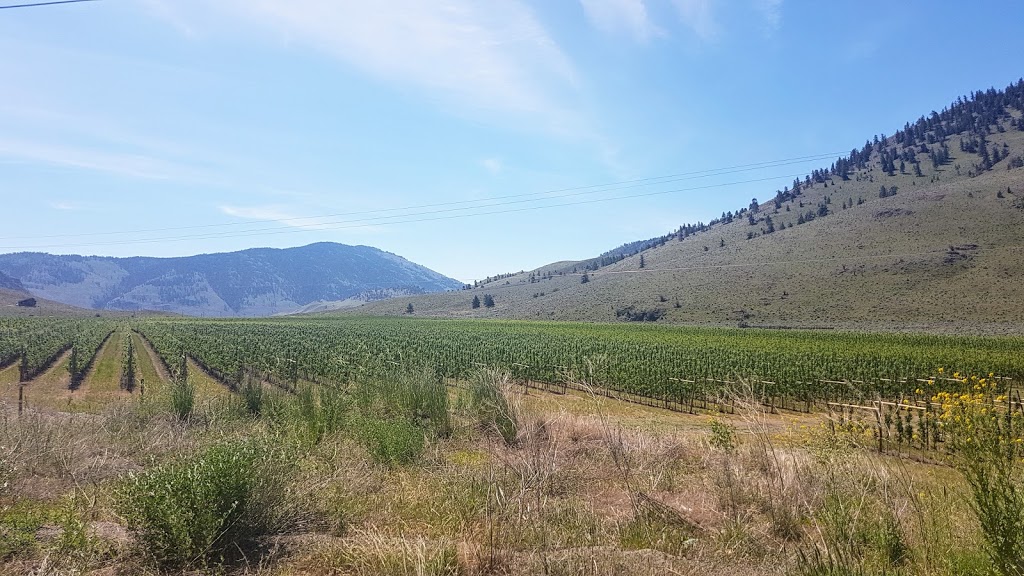 South Okanagan Grasslands Protected Area | Cawston, BC V0X 1C0, Canada | Phone: (800) 689-9025