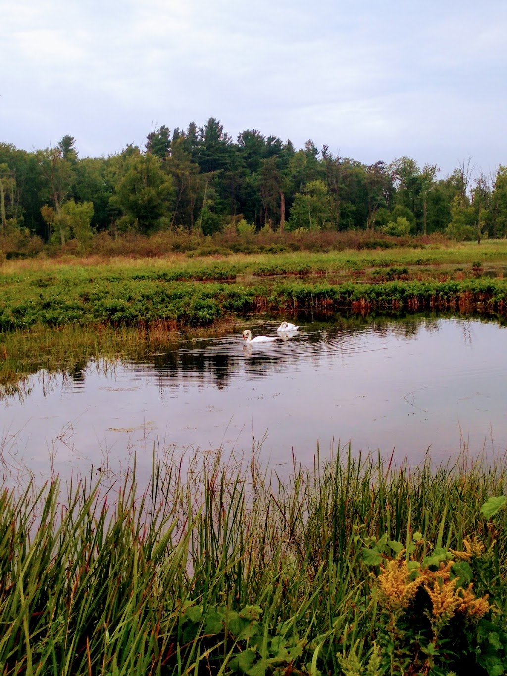 Presquile Provincial Park Campground | Brighton, ON K0K 1H0, Canada | Phone: (613) 475-4324