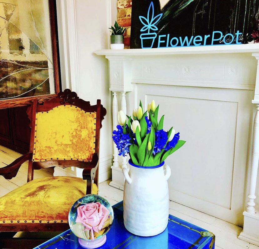 Flower Pot | 1006 Dundas St W, Toronto, ON M6J 1W6, Canada | Phone: (416) 533-9150