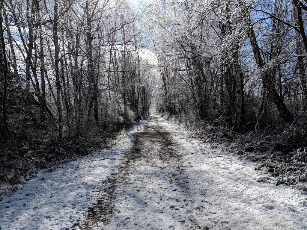 Shell Road Trail | Shell Rd Trail, Richmond, BC V6Y 1R5, Canada