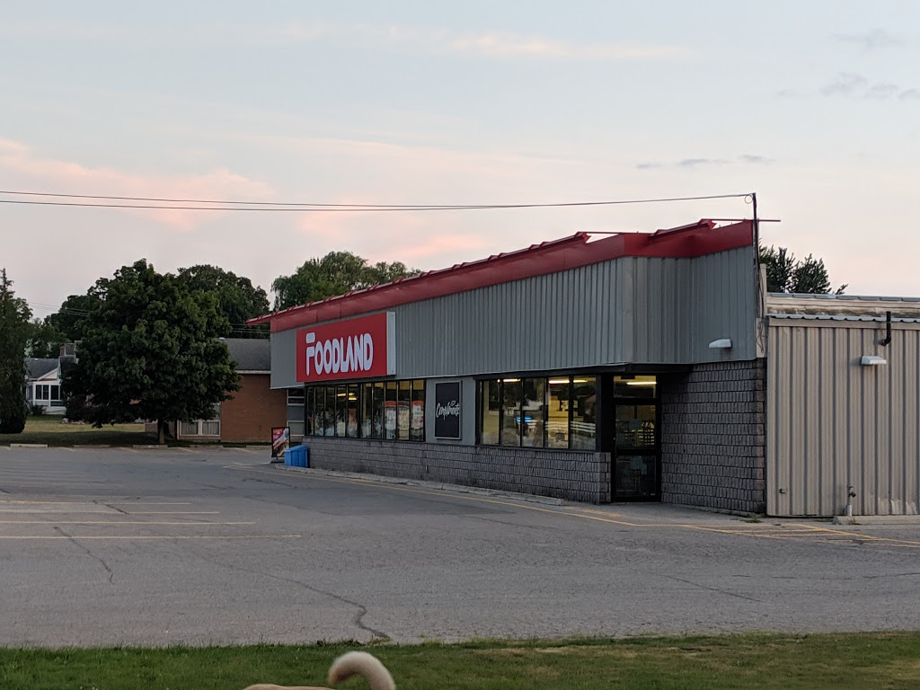 Foodland - Watford | 5407 Nauvoo Rd, Watford, ON N0M 2S0, Canada | Phone: (519) 876-3011