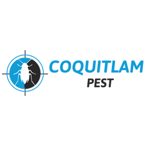 Coquitlam Pest Exterminators | 1420 Cambridge Dr, Coquitlam, BC V3J 2P7, Canada | Phone: (604) 239-4033