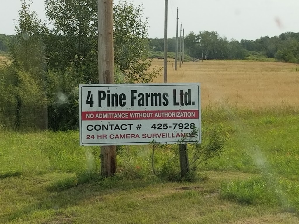 4 Pine Farms Ltd. | Unnamed Road, Zhoda, MB R0A 2P0, Canada | Phone: (204) 425-7928