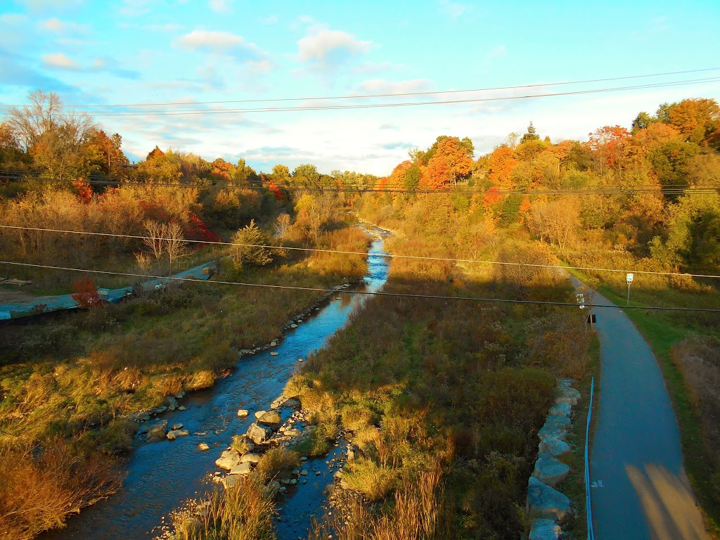 Esther Lorrie Park | Etobicoke, ON M9W 3M6, Canada