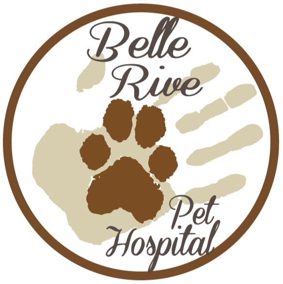 Belle Rive Pet Hospital Ltd | 8320 160 Ave NW, Edmonton, AB T5Z 3P1, Canada | Phone: (780) 457-8344