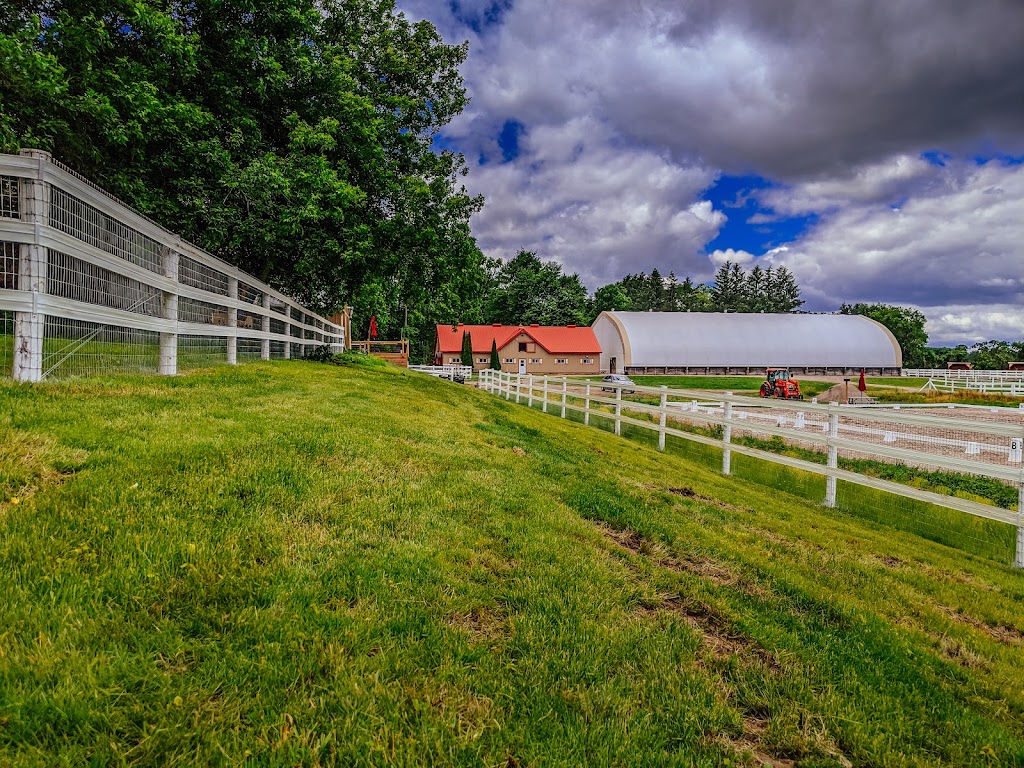 LIV Stables | 1751 Concession 2 Rd W, Lynden, ON L0R 1T0, Canada | Phone: (866) 812-3461