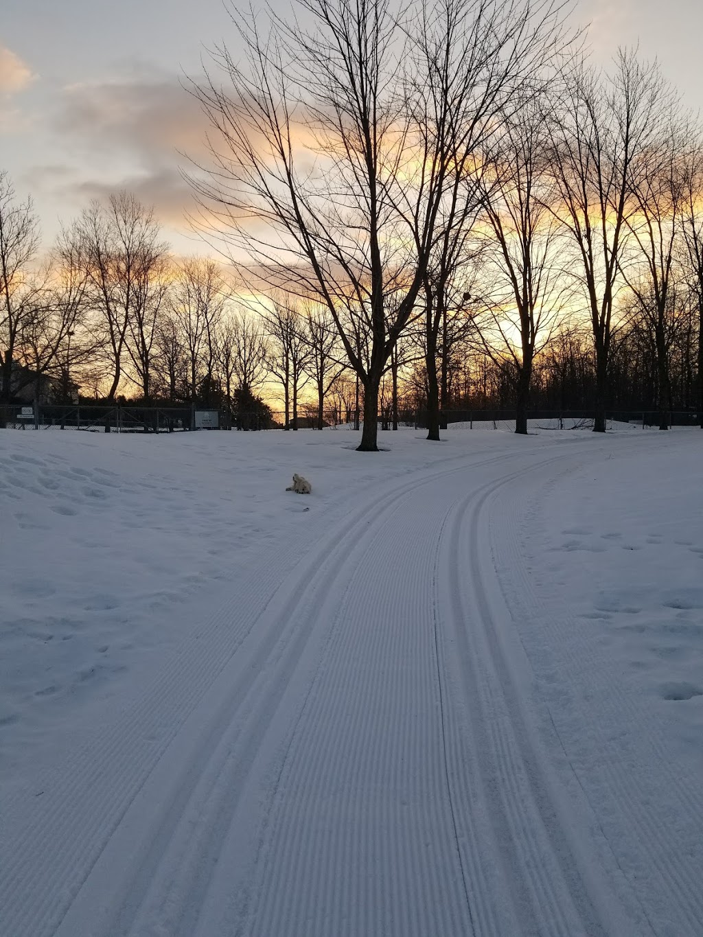 Parc Léo-Ayotte | 1757 Rue du Cerf, Longueuil, QC J4N 1N2, Canada