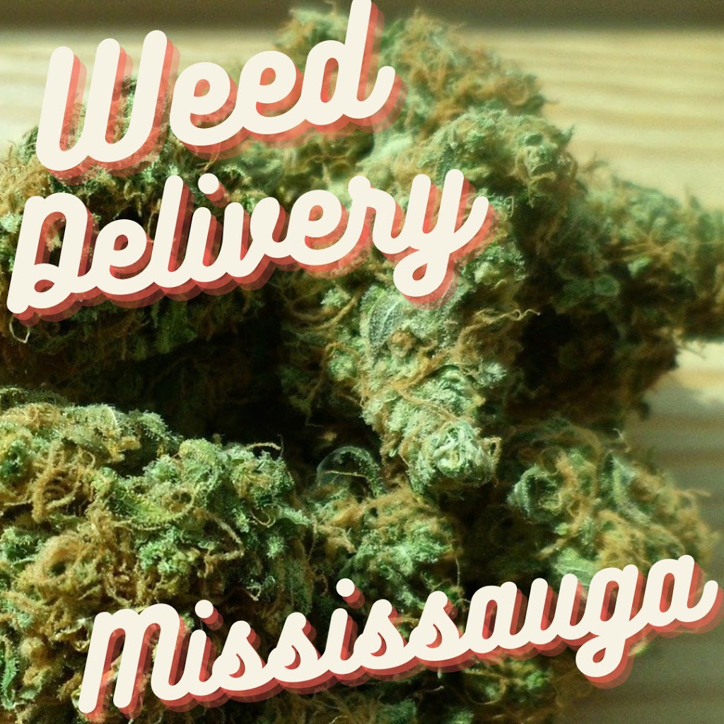 Weed Delivery Mississauga - No Store - Buds2U | 3770 Nashua Dr, Mississauga, ON L4V 1P3, Canada | Phone: (437) 331-0733