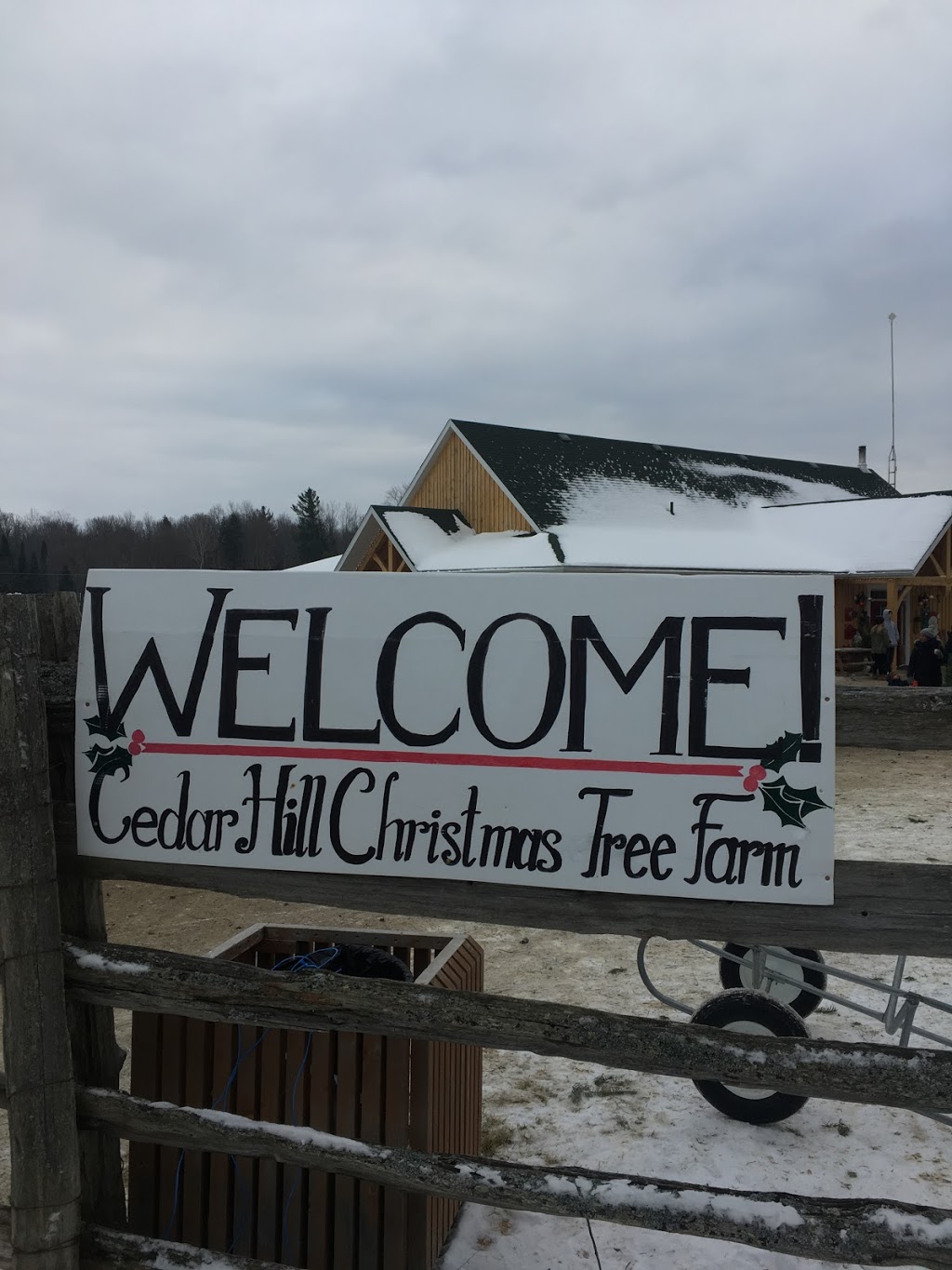 Cedar Hill Christmas Tree Farm | 951 8 Th Conc South, Pakenham, ON K0A 2X0, Canada | Phone: (613) 256-3029