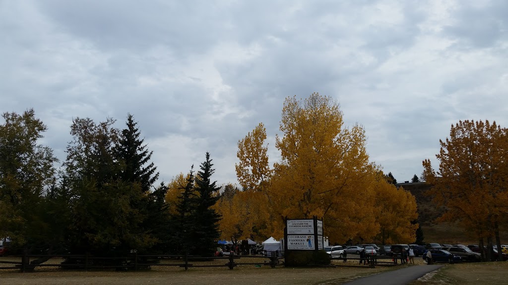 Cochrane Farmers Market | parking lot Spray Lake Sawmills Family Sports Centre, 800 Griffin Rd E, Cochrane, AB T4C 2B8, Canada | Phone: (403) 851-0562