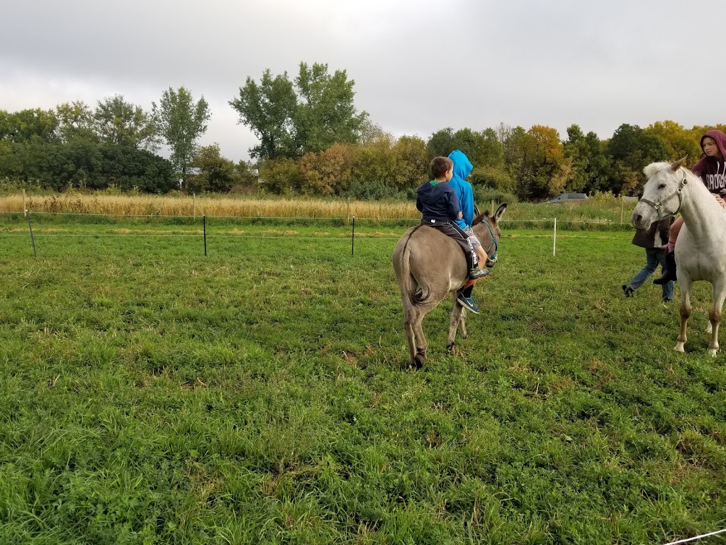 Friesen Housebarn Interpretive Centre | 4140 Rd 1 W, Altona, MB R0G 0B0, Canada | Phone: (204) 324-4115