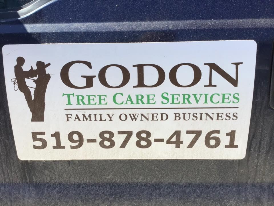 Godon Tree Care | 15682 Mt Hope Rd, Bolton, ON L7E 3K6, Canada | Phone: (519) 878-4761