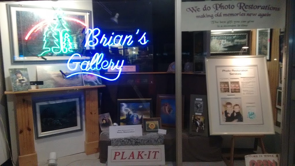 Brians Gallery Picture Framing & Photo Restoration Services | 1104 Fennell Ave E #5, Hamilton, ON L8T 1R9, Canada | Phone: (905) 383-4747