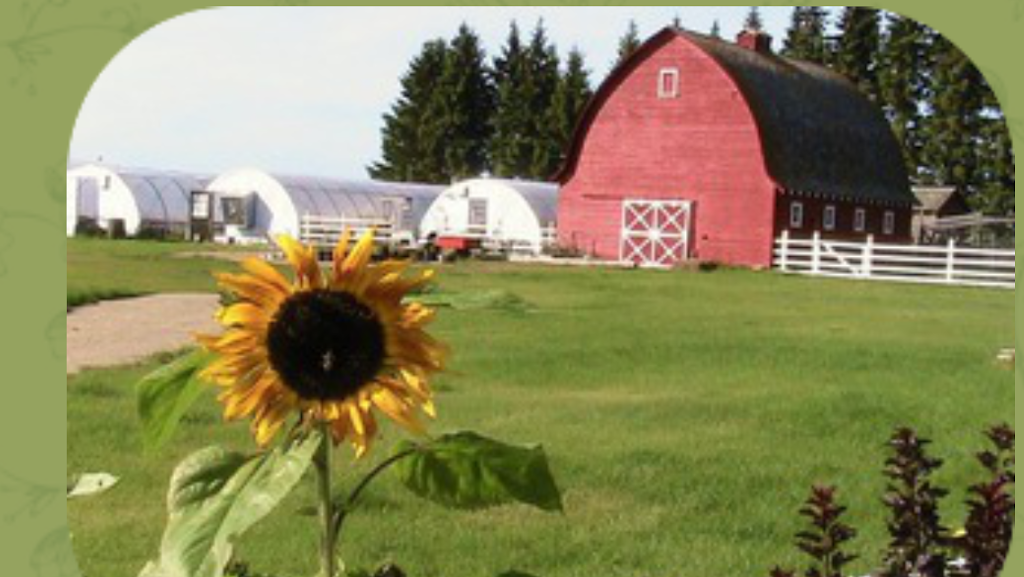 The Planted Earth Greenhouses | 38116 Range Road 13, AB T4E 0J8, Canada | Phone: (403) 887-5203