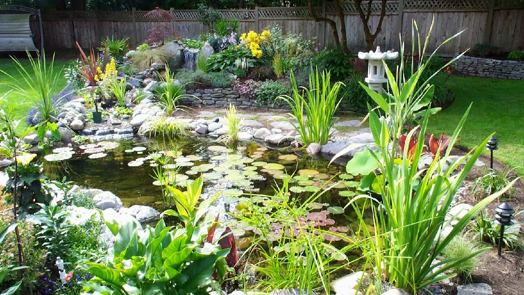 Superior Ponds & Landscaping | 5224 7a Ave, Delta, BC V4M 1R4, Canada | Phone: (604) 943-6070