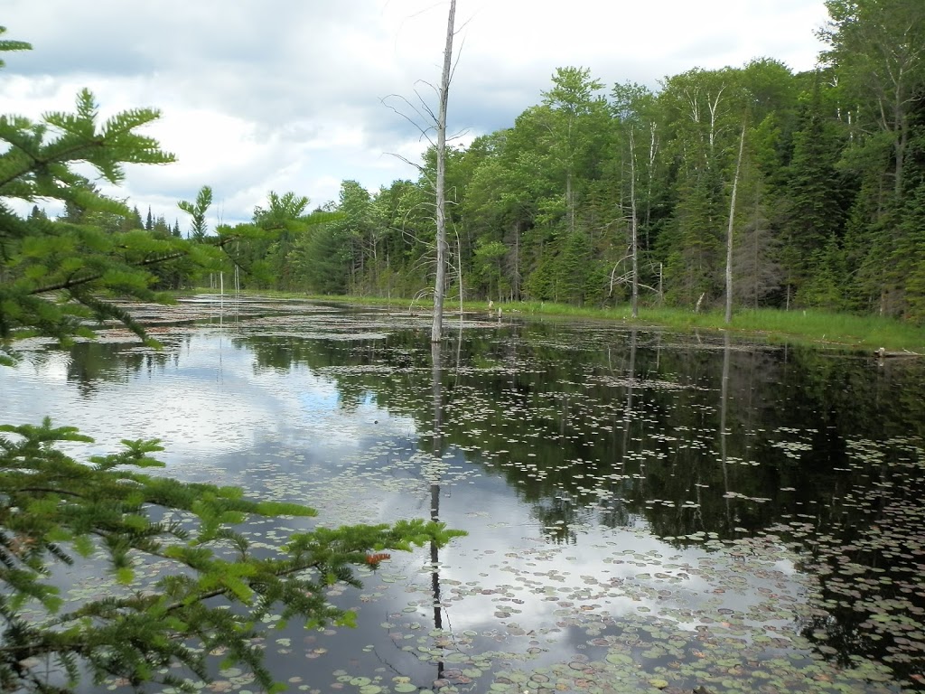 Stouffer Mill Bed & Breakfast | Algonquin Highlands, ON K0M 1J2, Canada | Phone: (705) 489-3024