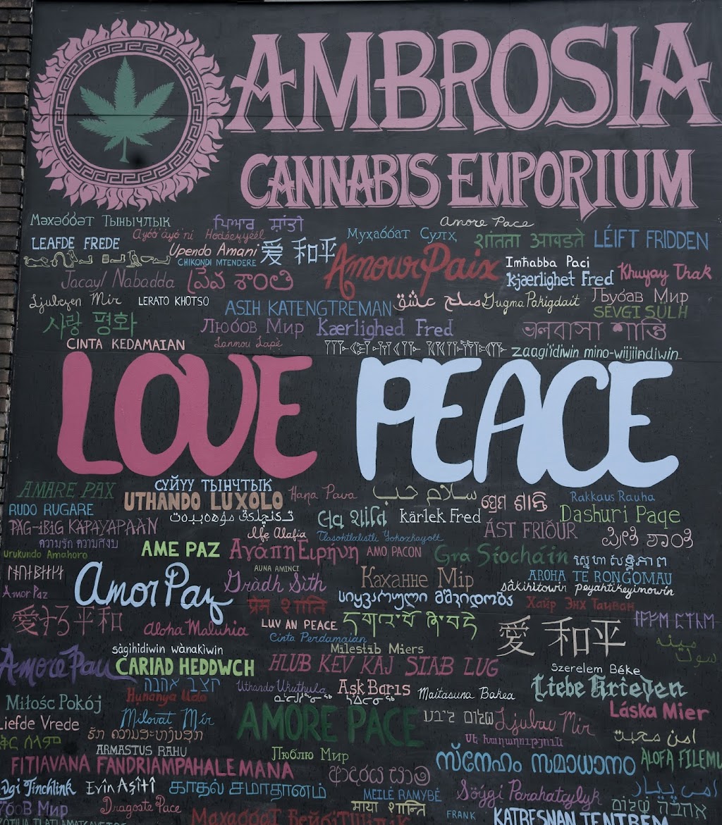 Ambrosia Cannabis Emporium | 1605A Queen St W, Toronto, ON M6R 1A9, Canada | Phone: (416) 519-3487
