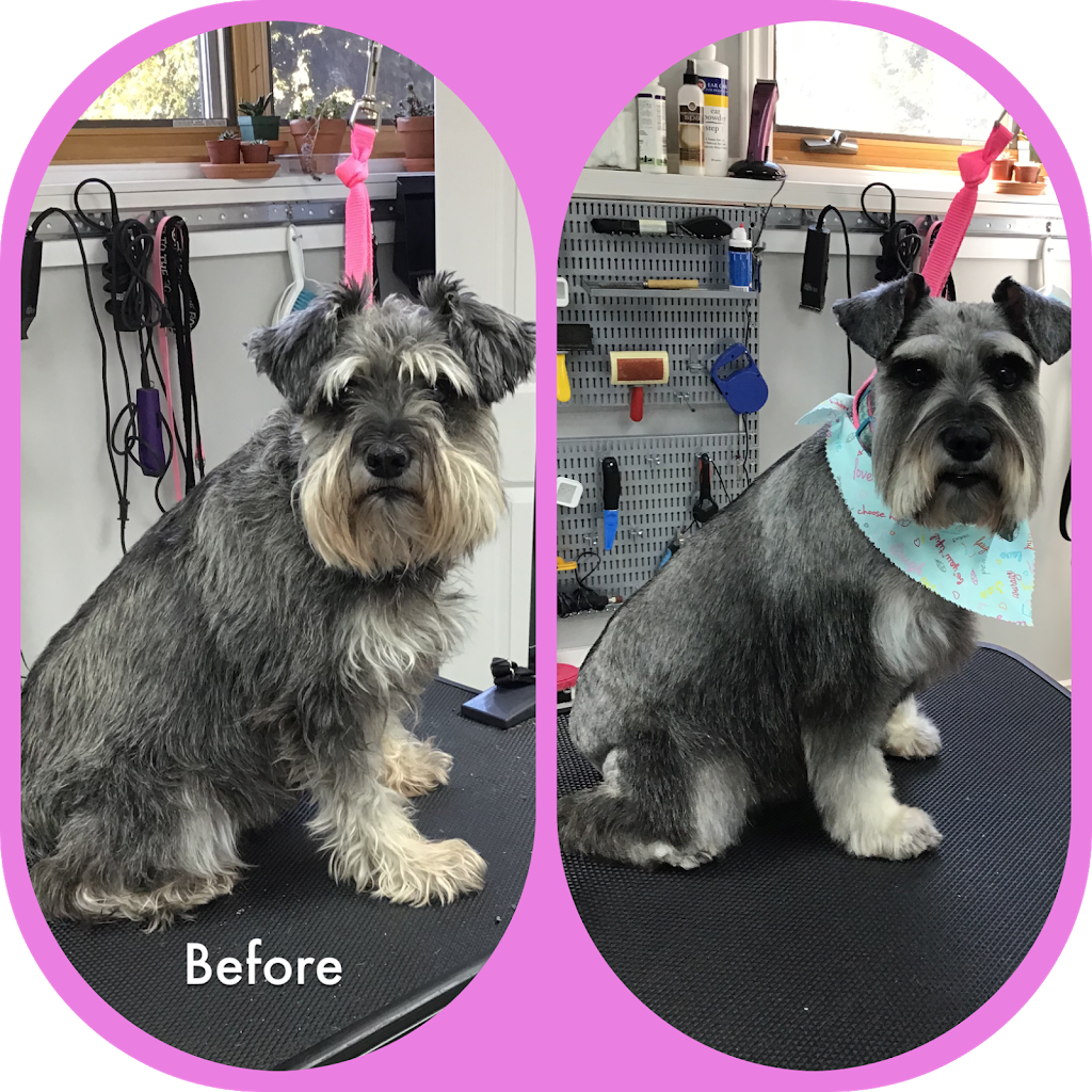 Bark N Beauties Dog Grooming Salon | 35661 Maguire Rd, Ailsa Craig, ON N0M 1A0, Canada | Phone: (519) 228-6861