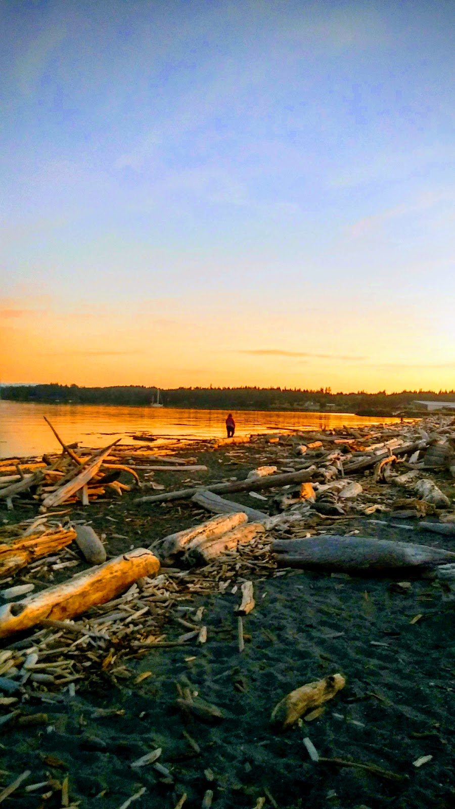 Jackson Beach Park | Jackson Beach Rd, Friday Harbor, WA 98250, USA