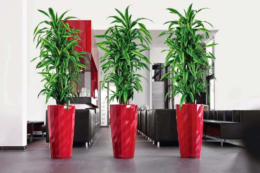 Office Plants Toronto | 1300 York Mills Rd, North York, ON M3A 1Z3, Canada | Phone: (416) 856-6310