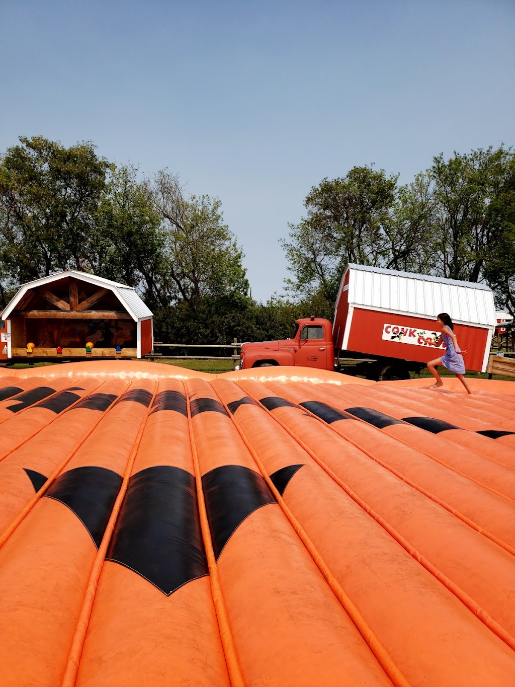 Kraay Family Farm, Home of the Lacombe Corn Maze, inc. | Site 6 Box 9 RR 1, Lacombe, AB T4L 2N1, Canada | Phone: (403) 302-1709